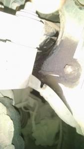 IMG_20200314_164728836.jpg