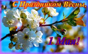 1f28cf5f6b2bdb49da46ac37992c3ccc.jpg