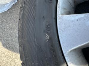 IMG_8417.jpeg