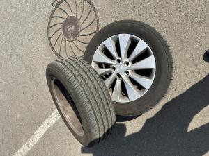 IMG_8414.jpeg