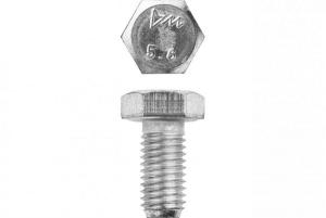 bolt1.jpg