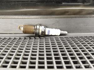 IMG_20260919_132811.jpg
