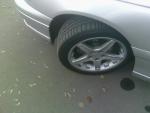IMAG0005.jpg