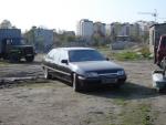 DSC01655.JPG