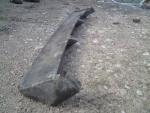 DSC00475.JPG