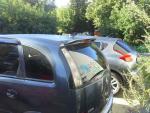 20130816_081803.jpg