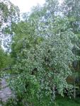 DSC01114.JPG