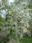 DSC01135.JPG