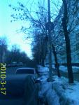 PIC100317007.jpg