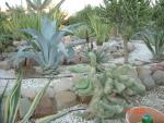 DSC01589.JPG