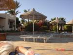 DSC01481.JPG