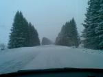 15032011_010_.jpg