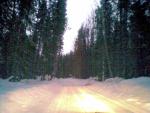 15032011_016_.jpg