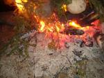 DSC05523.JPG