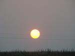 DSC06754_____________.JPG