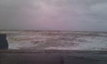 IMAG0703.jpg