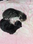 2013_04_06_18.49.53.jpg