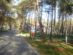 DSC03779.JPG