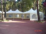 DSC03784.JPG