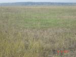 DSC03797.JPG