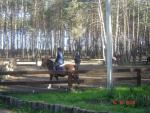 DSC03812.JPG