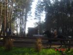 DSC03814.JPG