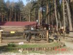 DSC03815.JPG