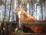 DSC03817.JPG