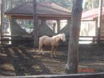 DSC03818.JPG