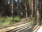DSC03823.JPG