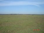 DSC03830.JPG