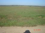 DSC03832.JPG