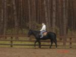 DSC03904.JPG