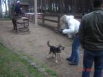 DSC03897.JPG