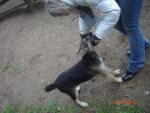 DSC03898.JPG
