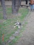 DSC03899.JPG