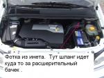______0836828196de.jpg