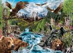 river_of_life.jpg