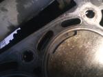IMG10106.jpg