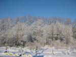 IMG_5528.JPG