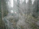 P1010008_1.JPG