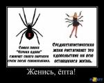 1269707864_demotivator110t110.jpg