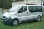 vivaro.jpg