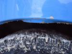DSC01113.JPG