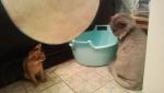 WP_20130331_011.jpg