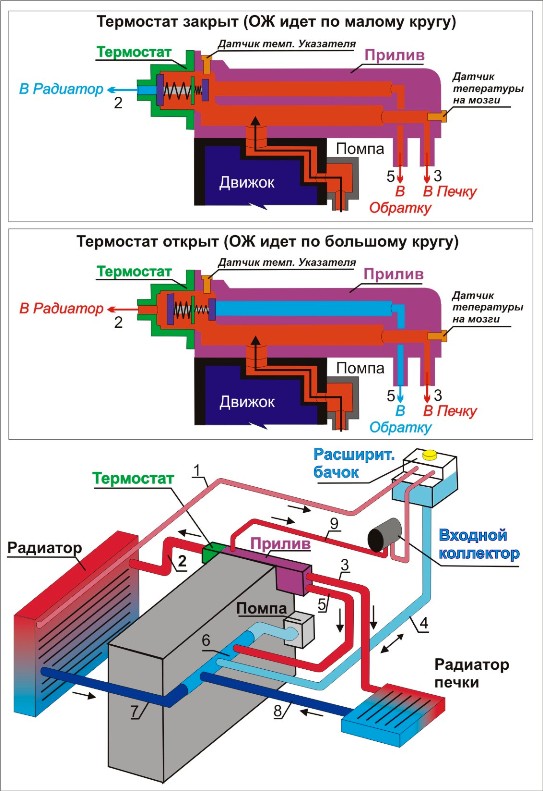 схема система отопления опель омега б