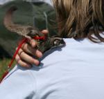 IMG_1512_12.jpg