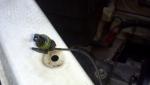 2012_09_29_16_12_55_845.jpg