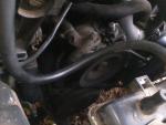 2011_10_04_08.50.33.jpg