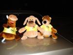 DSC01916.JPG